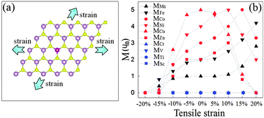 Graphical abstract: Controlling magnetism of MoS2 sheets by embedding transition-metal atoms and applying strain