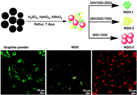 Graphical abstract: Size tunable fluorescent nano-graphite oxides: preparation and cell imaging applications