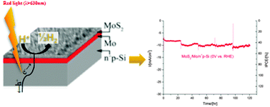 Graphical abstract: MoS2—an integrated protective and active layer on n+p-Si for solar H2 evolution