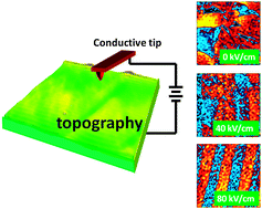 Graphical abstract: Manipulation of domain wall mobility by oxygen vacancy ordering in multiferroic YMnO3