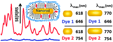 Graphical abstract: Stabilized gold nanorod–dye conjugates with controlled resonance coupling create bright surface-enhanced resonance Raman nanotags