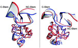 Graphical abstract: Kink turn sRNA folding upon L7Ae binding using molecular dynamics simulations