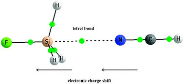 Graphical abstract: Tetrel bond–σ-hole bond as a preliminary stage of the SN2 reaction