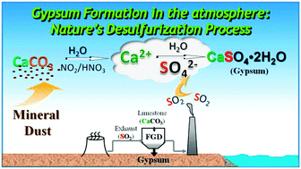 Graphical abstract: Heterogeneous and multiphase formation pathways of gypsum in the atmosphere