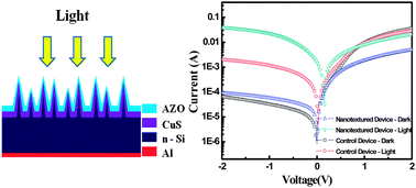 Graphical abstract: Optical photoresponse of CuS–n-Si radial heterojunction with Si nanocone arrays fabricated by chemical etching