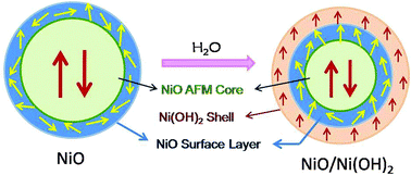 Graphical abstract: Evolution and magnetic characteristics of NiO–Ni(OH)2 core–shell nanostructures