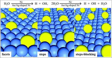 Graphical abstract: Water adsorption and dissociation on Ni surface: Effects of steps, dopants, coverage and self-aggregation