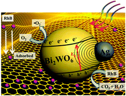 Graphical abstract: Enhanced visible-light photocatalytic activity of plasmonic Ag and graphene co-modified Bi2WO6 nanosheets