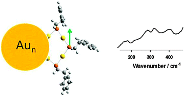 Graphical abstract: Far-infrared spectra of well-defined thiolate-protected gold clusters