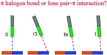 Graphical abstract: Is π halogen bonding or lone pair⋯π interaction formed between borazine and some halogenated compounds?
