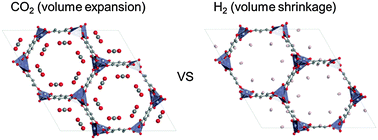 Graphical abstract: Reply to the ‘Comment on “Volume shrinkage of a metal–organic framework host induced by the dispersive attraction of guest gas molecules”’ by F.-X. Coudert, A. H. Fuchs, and A. V. Neimark, Phys. Chem. Chem. Phys.