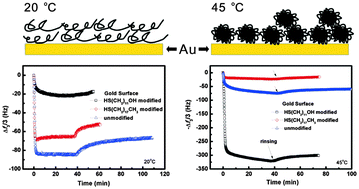 Graphical abstract: Adsorption of PNIPAmx-PEO20-PPO70-PEO20-PNIPAmx pentablock terpolymer on gold surfaces: effects of concentration, temperature, block length, and surface properties
