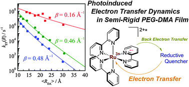 Graphical abstract: Long-range photoinduced electron transfer dynamics in rigid media