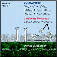 Graphical abstract: Chemical and morphological changes during olivine carbonation for CO2 storage in the presence of NaCl and NaHCO3