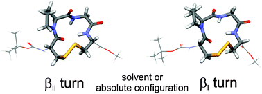 Graphical abstract: Solvent-induced conformational changes in cyclic peptides: a vibrational circular dichroism study