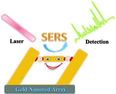 Graphical abstract: Combining 3-D plasmonic gold nanorod arrays with colloidal nanoparticles as a versatile concept for reliable, sensitive, and selective molecular detection by SERS