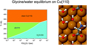 Graphical abstract: Co-adsorption of water and glycine on Cu{110}