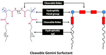 Graphical abstract: Effect of amide bonds on the self-assembly of gemini surfactants