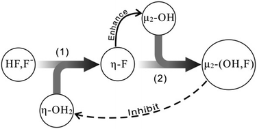 Graphical abstract: Effect of fluorine substitution on structures and reactivity of Keggin-Al13 in aqueous solution: an exploration of the fluorine substitution mechanism