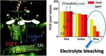 Graphical abstract: Effect of electrolyte bleaching on the stability and performance of dye solar cells