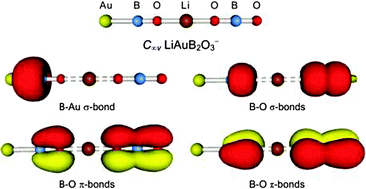 Graphical abstract: Photoelectron spectroscopy of lithium and gold alloyed boron oxide clusters: charge transfer complexes, covalent gold, hyperhalogen, and dual three-center four-electron hyperbonds