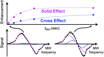Graphical abstract: Static 1H dynamic nuclear polarization with the biradical TOTAPOL: a transition between the solid effect and the cross effect
