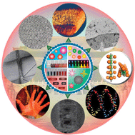 Graphical abstract: Nanoparticle assemblies: dimensional transformation of nanomaterials and scalability