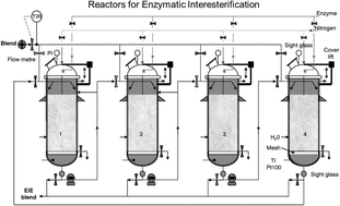 Graphical abstract: Industrial use of immobilized enzymes