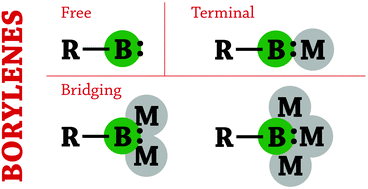 Graphical abstract: Transition metal borylene complexes