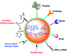 Graphical abstract: Conjugated polymer nanoparticles: preparation, properties, functionalization and biological applications