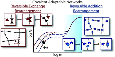 Graphical abstract: Covalent adaptable networks: smart, reconfigurable and responsive network systems