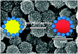 Graphical abstract: Pickering-type stabilized nanoparticles by heterophase polymerization