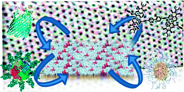 Graphical abstract: Challenges and advances in the field of self-assembled membranes