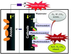 Graphical abstract: Cathodic catalysts in bioelectrochemical systems for energy recovery from wastewater