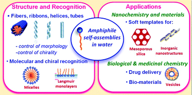 Graphical abstract: Amphiphiles in aqueous solution: well beyond a soap bubble