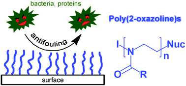 Graphical abstract: Poly(2-oxazoline) functionalized surfaces: from modification to application