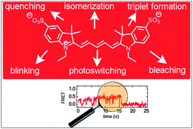 Graphical abstract: Photophysical processes in single molecule organic fluorescent probes