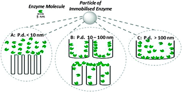 Graphical abstract: Effect of pore size on the performance of immobilised enzymes