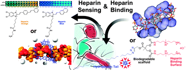 Graphical abstract: Heparin sensing and binding – taking supramolecular chemistry towards clinical applications