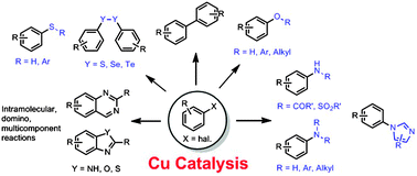 Graphical abstract: Copper catalysed Ullmann type chemistry: from mechanistic aspects to modern development