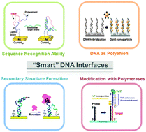 Graphical abstract: “Smart” DNA interfaces