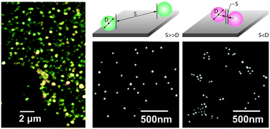 Graphical abstract: Probing subdiffraction limit separations with plasmon coupling microscopy: concepts and applications