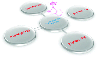 Graphical abstract: Cyclometalated [Cp*M(C^X)] (M = Ir, Rh; X = N, C, O, P) complexes