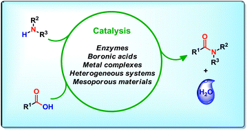 Graphical abstract: Catalytic amide formation from non-activated carboxylic acids and amines