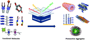 Graphical abstract: Chemical designs of functional photoactive molecular assemblies