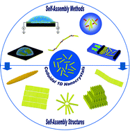 Graphical abstract: Self-assembly of colloidal one-dimensional nanocrystals