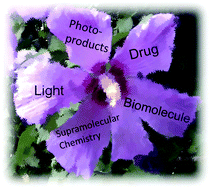 Graphical abstract: Supramolecular photochemistry of drugs in biomolecular environments