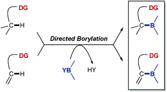 Graphical abstract: Functional group directed C–H borylation