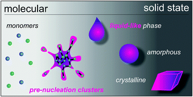 Graphical abstract: Pre-nucleation clusters as solute precursors in crystallisation