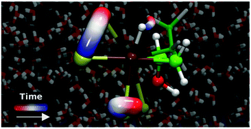 Graphical abstract: Challenges in modelling homogeneous catalysis: new answers from ab initio molecular dynamics to the controversy over the Wacker process